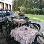 شقة Nigritella