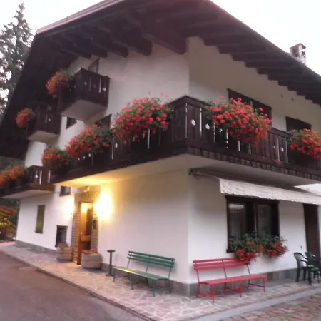 Lejlighed Nigritella Falcade