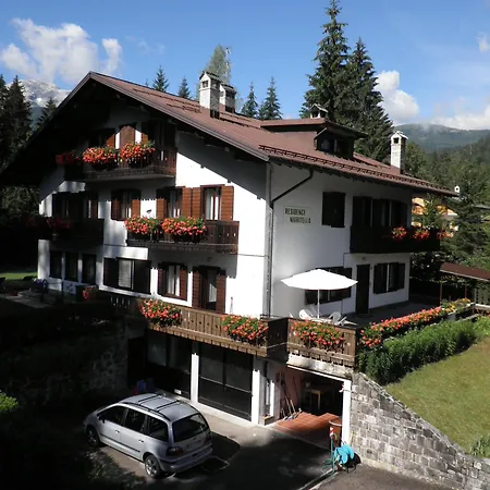 Nigritella Lejlighed Falcade