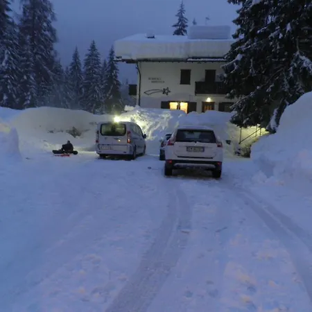 Nigritella Lejlighed