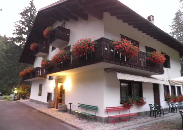 Lejlighed Nigritella Falcade