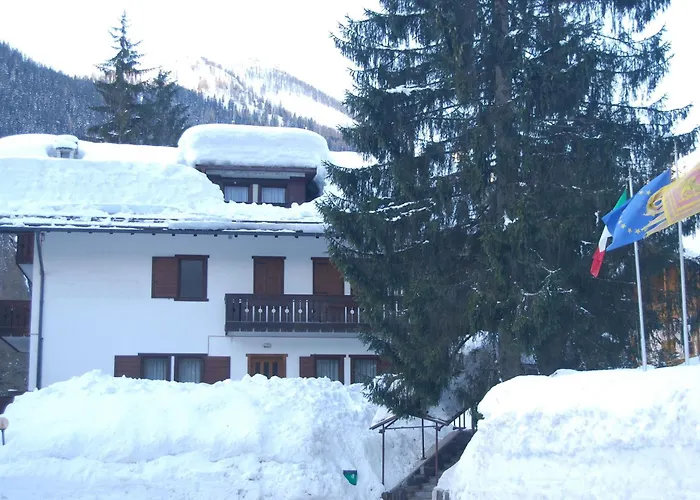 Nigritella * Falcade