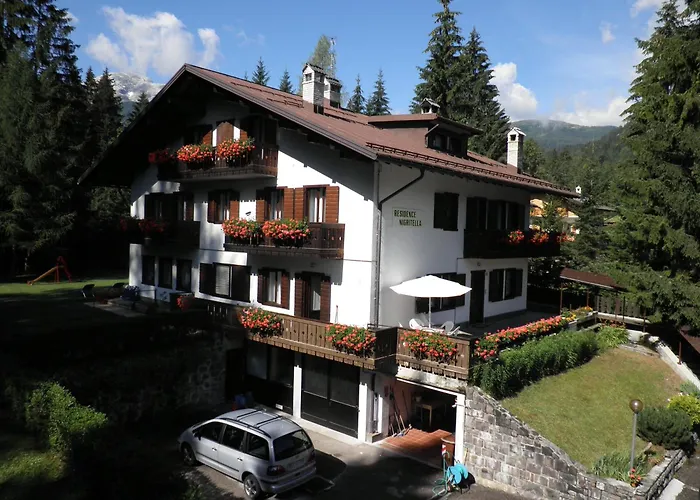 Nigritella Lejlighed Falcade