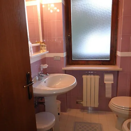 Nigritella Daire Falcade