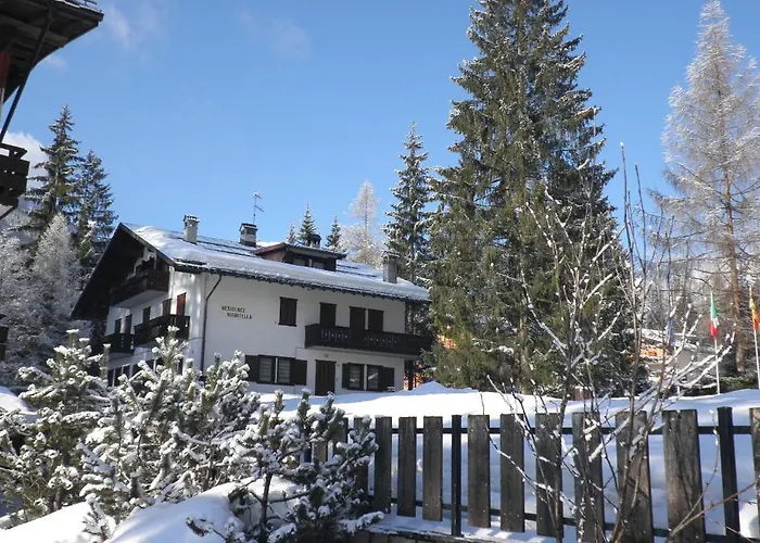 Διαμέρισμα Nigritella Falcade